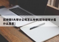 区块链5大审计公司怎么样啊[区块链审计是什么意思]